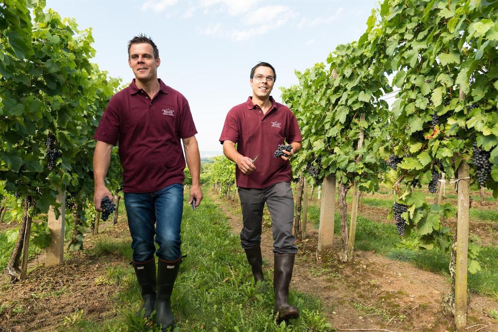 Weingut Migsich