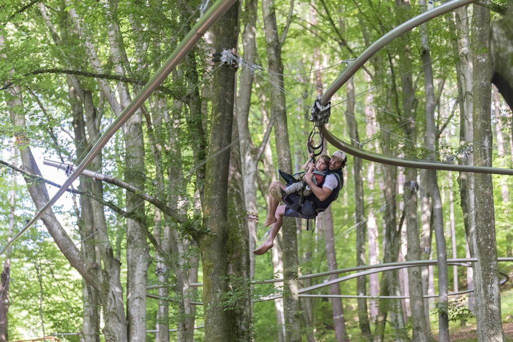 Kletterwald
