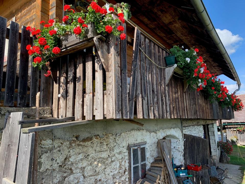Remschniggalmhütte