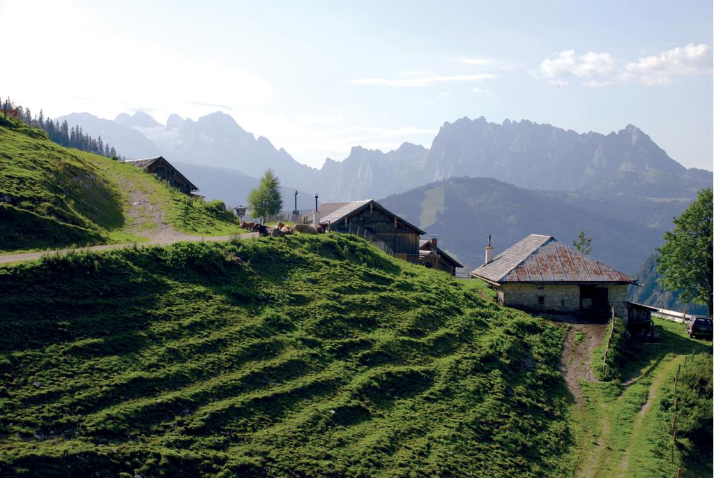 Rinnbergalm