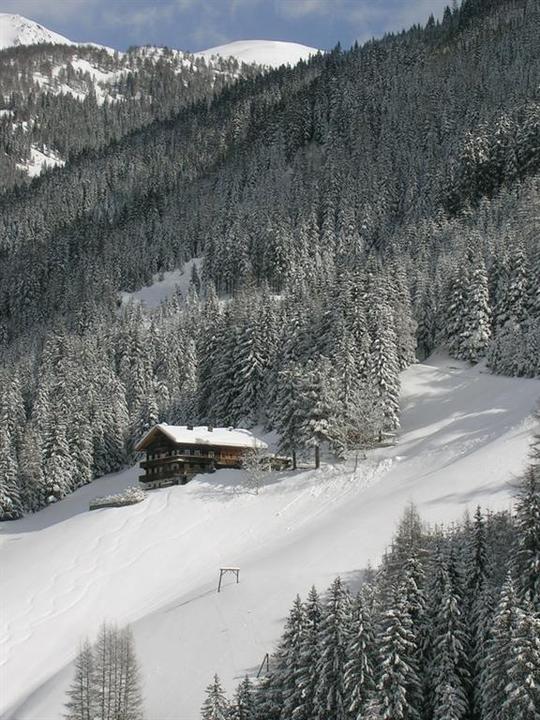 Wintertraum