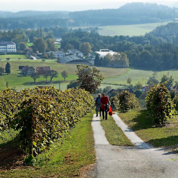 Blick zum Schloss Schielleiten, Stubenberg am See in der Oststeiermark