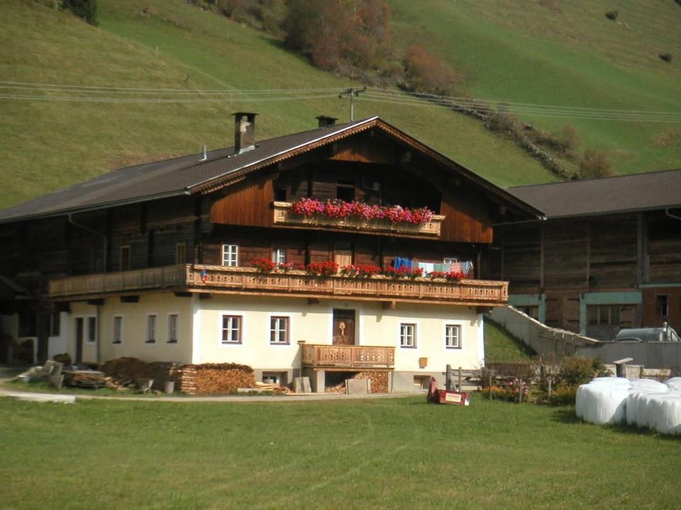 Bild aussen Sommer
