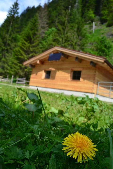 Chalet Edelweiss in Hornabchtal