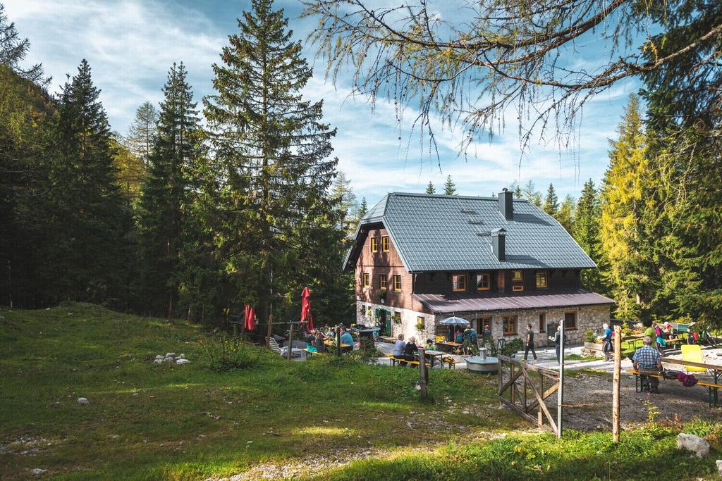 Das Rohrauerhaus
