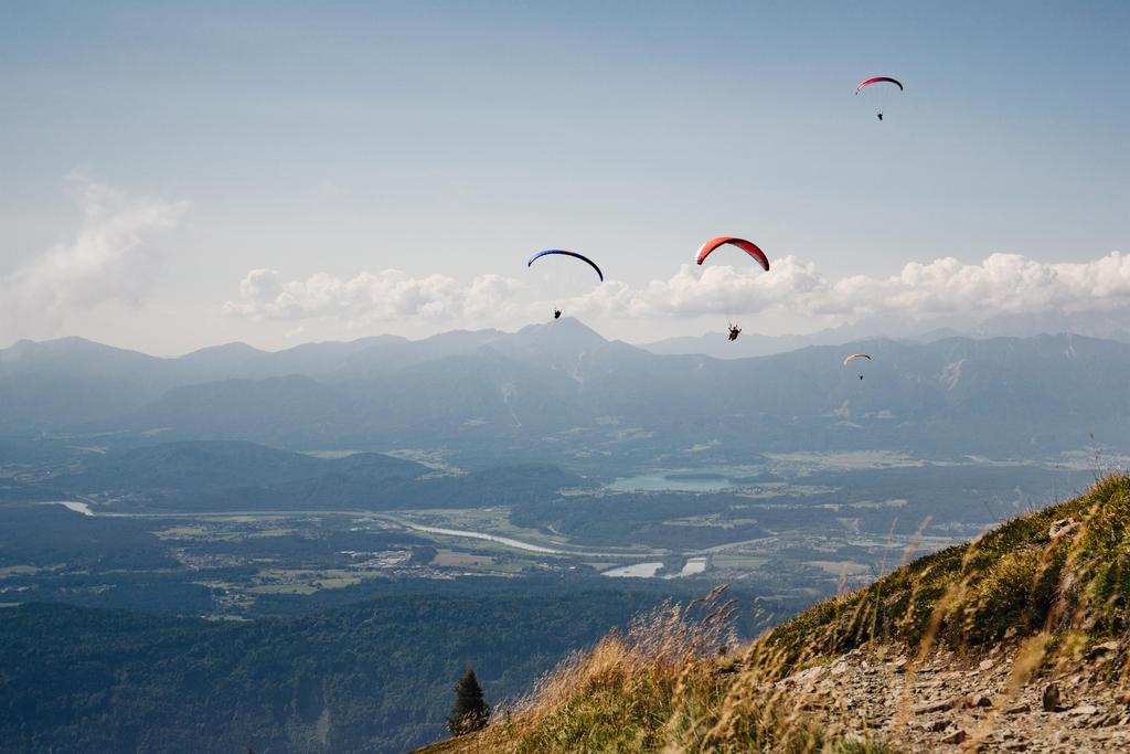 Paragleiter im Flug