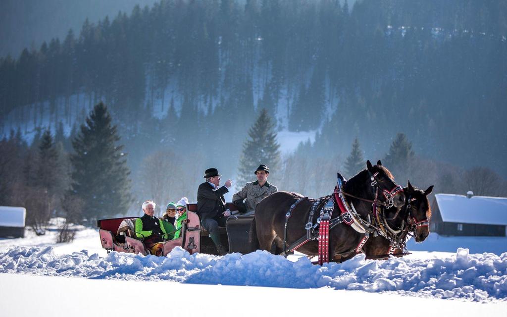 Pferdeschlitten- und Kutschenfahrten