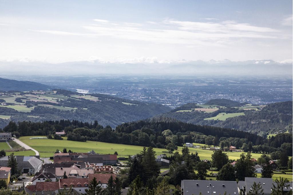 Kirchschlag Aussicht vom Turm2©Linz Tourismus_Robert Josipovic.jpg