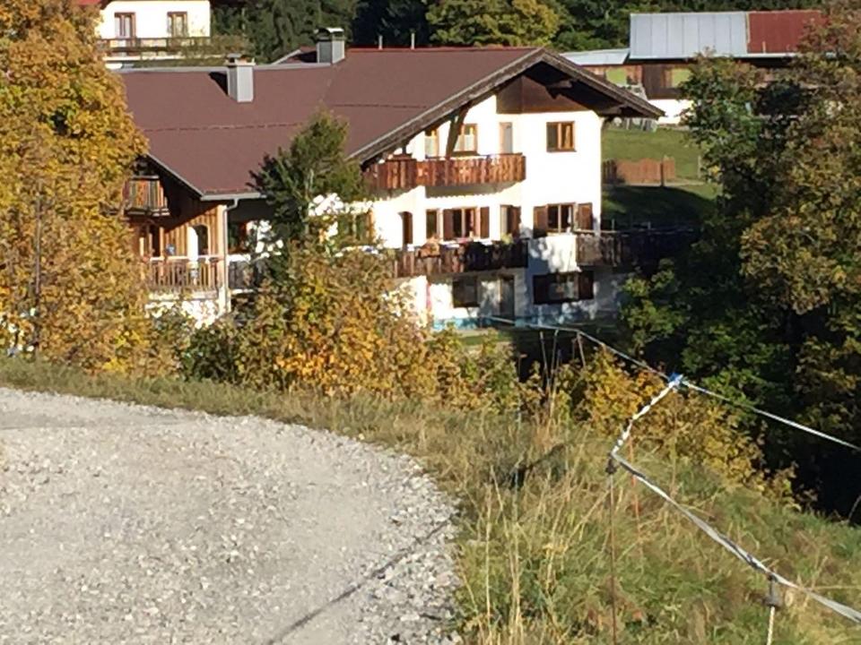 Gasthof Cafe Alpenwald Mittelberg Sommer