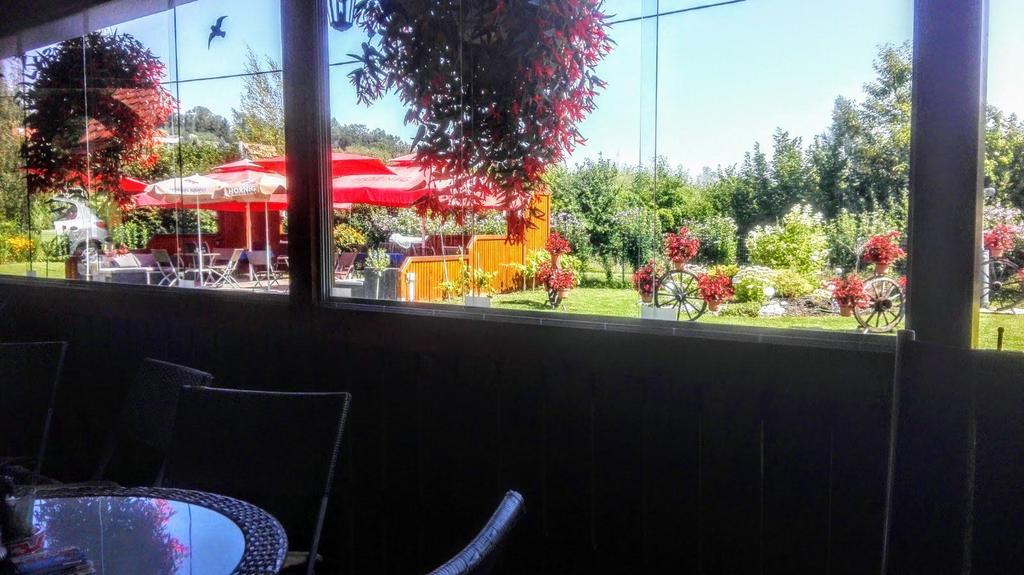 Blick in den Garten