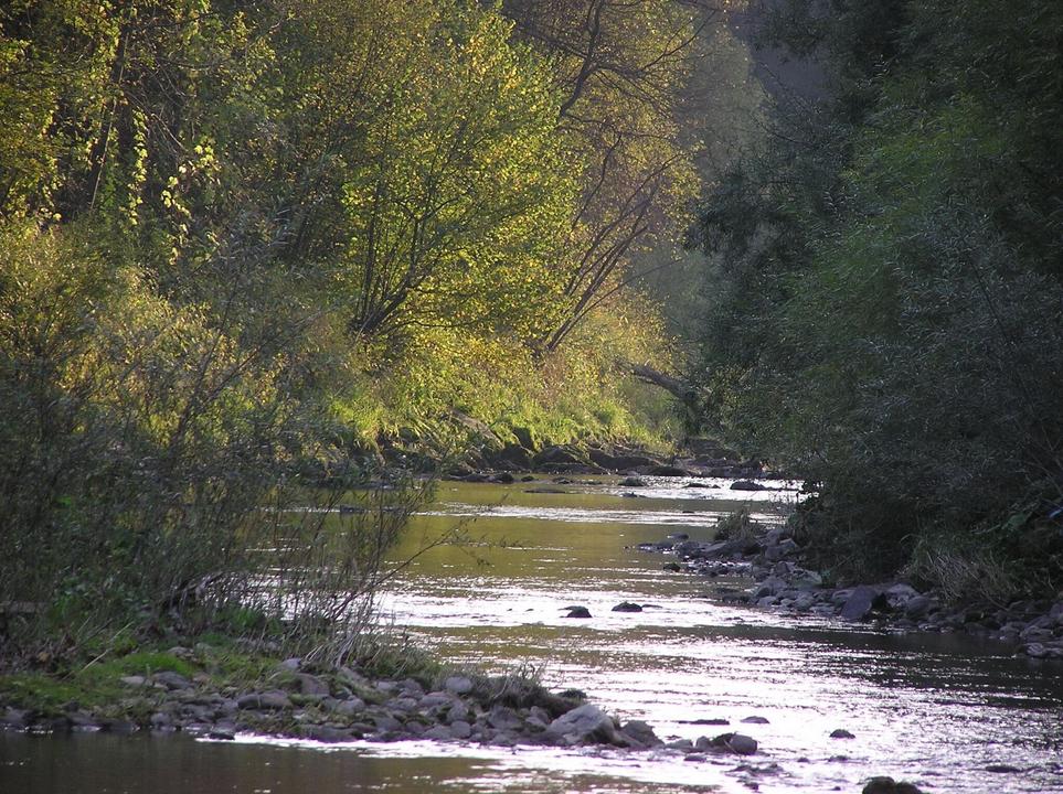 In der Langenwanger Au