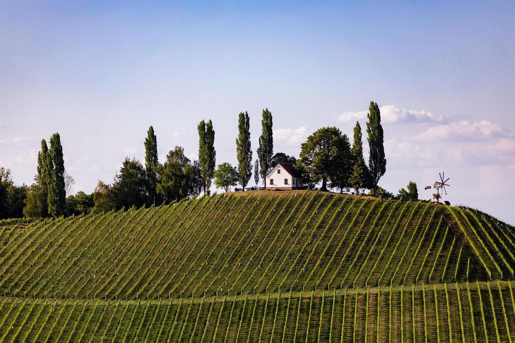 Sernauberg
