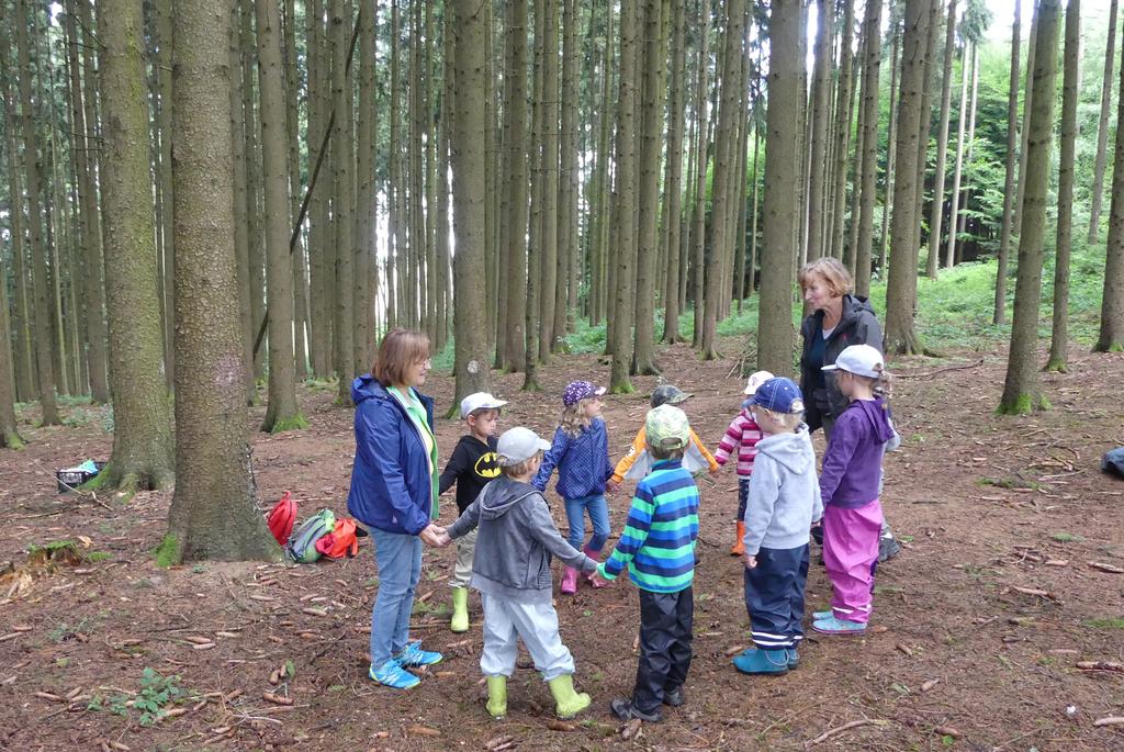 von-elfen-und-waldgeistern-naturpark-sommerkindergarten-im-wald