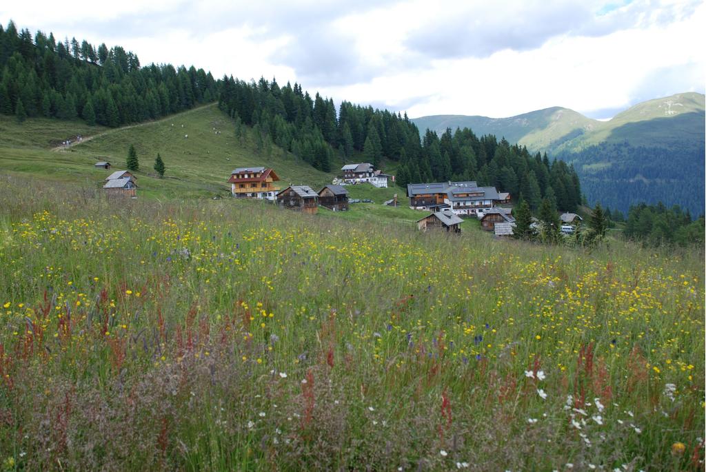 Emberger Alm