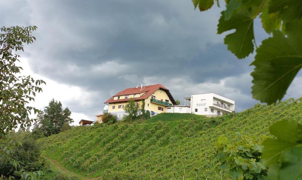 Weingut Toso Hausansicht