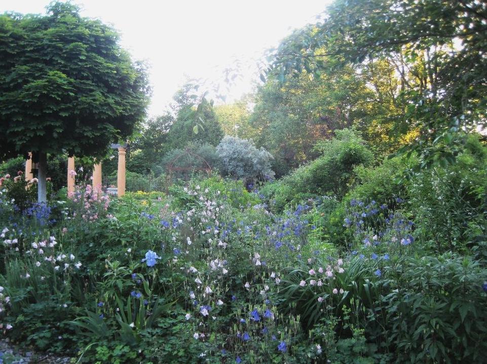 Romantic Garden in Inzersdorf