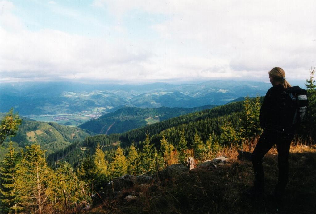 Blick von Stanglalm Richtung Krieglach