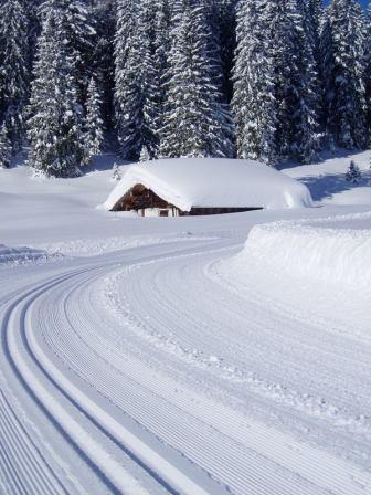winterliche Verhältnisse auf der Lienbachloipe