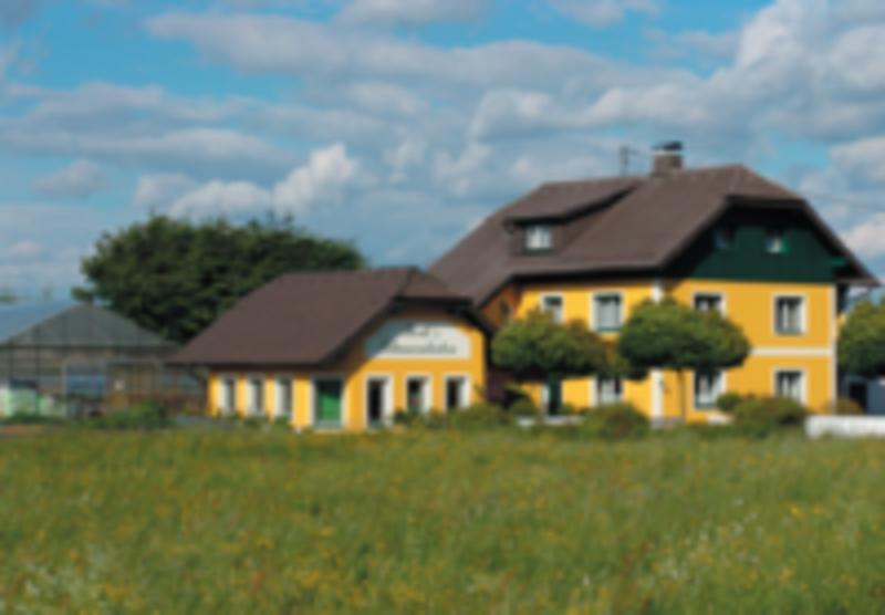 Bertis Blumenladen