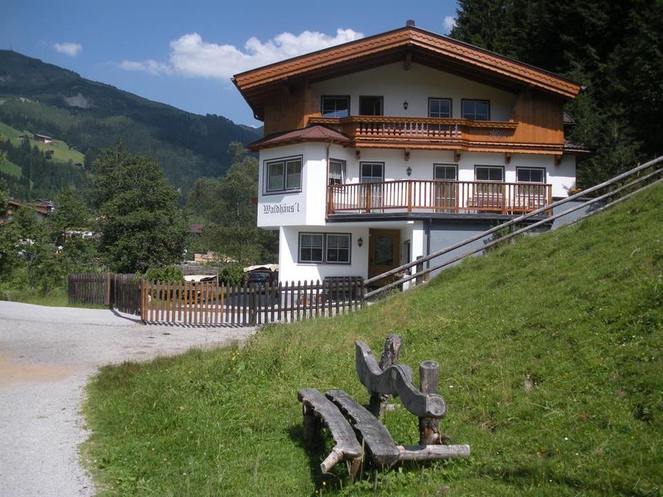 Hausansicht Sommer Bild 1