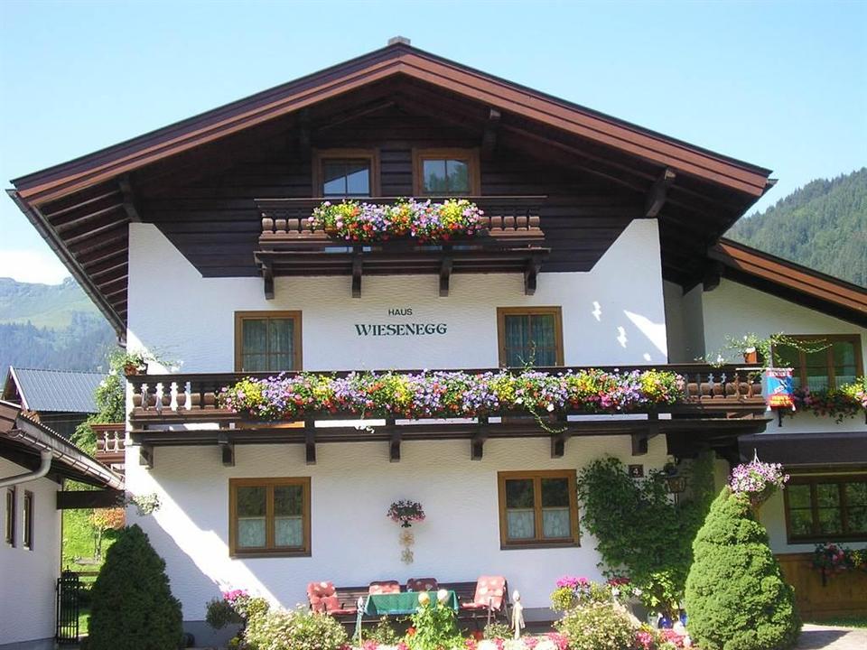 Unser Haus im Sommer (2)