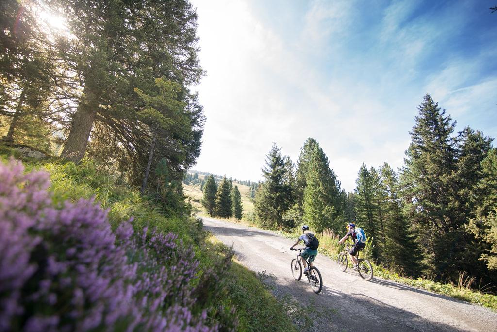 panoramatour_bike_trail_gerlos-16.jpg