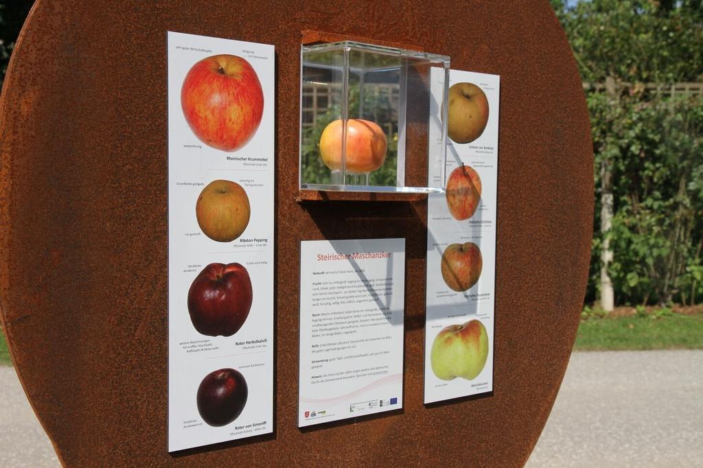 BIO-Apfel con Funghi; Natur- und Kulturerlebnisweg "Zukunft spazierendenken"