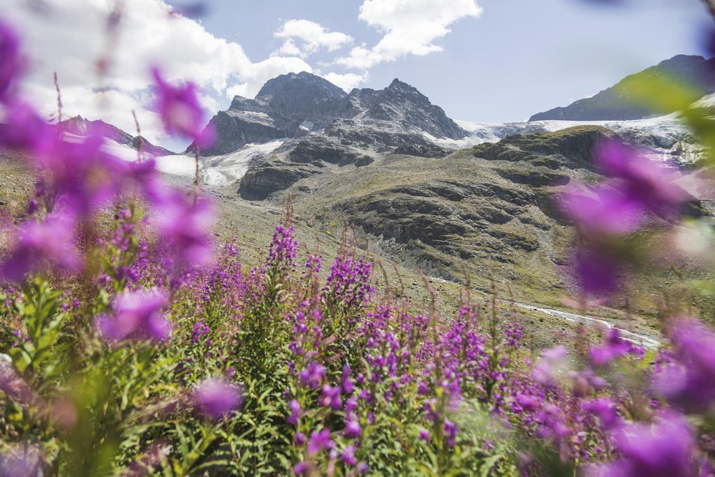 panoramatour-um-das-hohe-rad-montafon-tourismus-schruns-christian-hirschmann-183593.jpg
