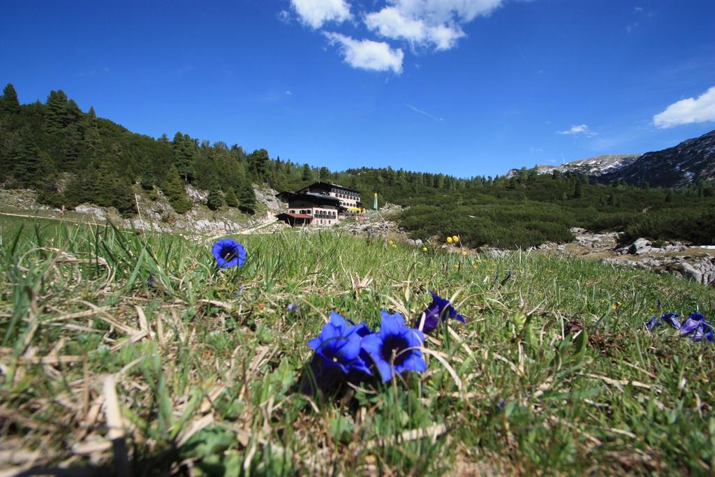 Reiter Alpe