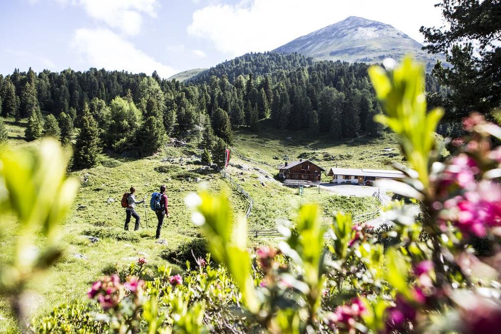 ©-TVB-Tiroler-Oberland-Kaunertal-Daniel-Zangerl-Aifneralm-2016-(19).jpg