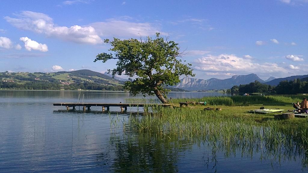 Fischhof