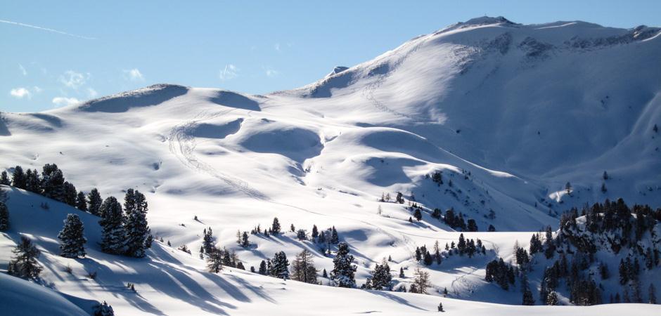 Alpin