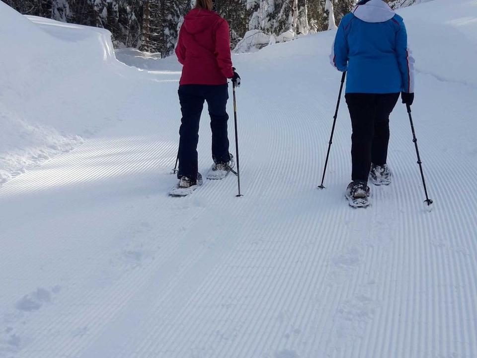 Schneeschuhwanderung