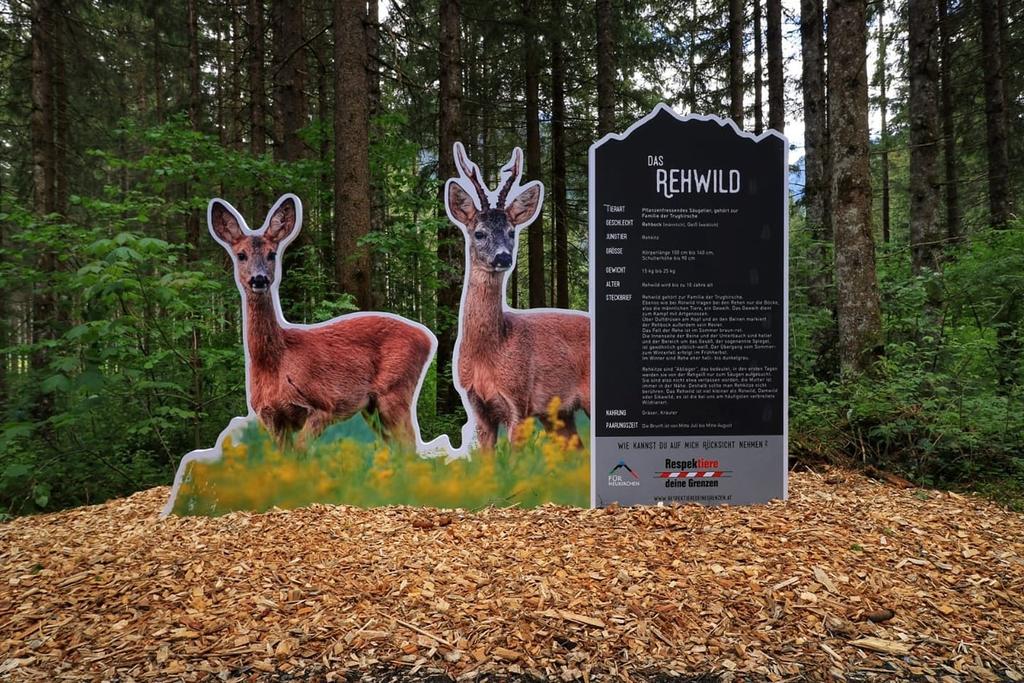 Wildtierlehrpfad Neukirchen