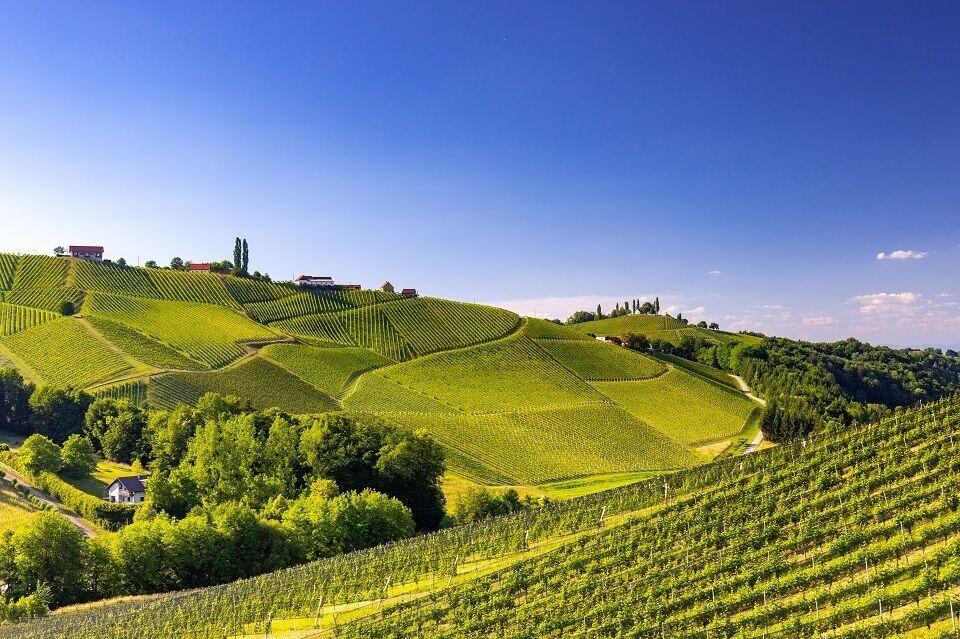 Landschaft Gamlitz