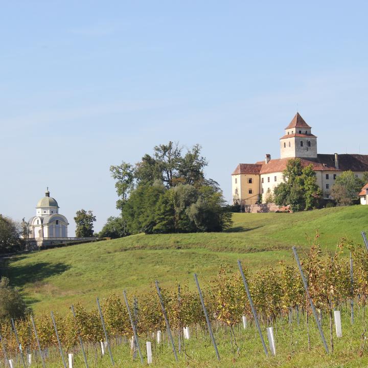 Blick vom Loisium auf Schloss und Mausoleum Ehrenhausen