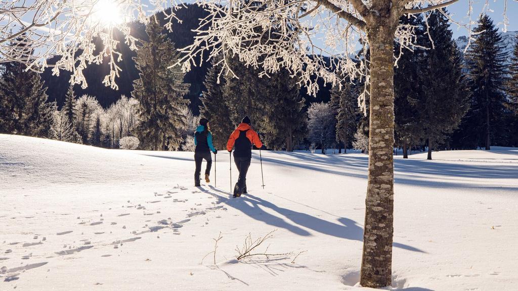 Winterwandern im Tristenautal in Pertisau