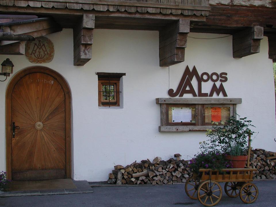 Moosalm