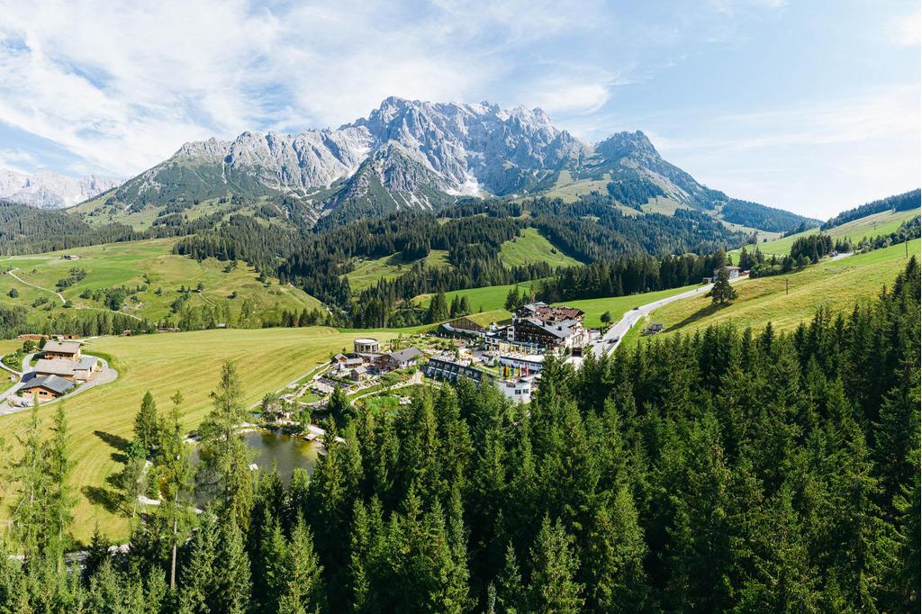 Panoramaansicht im Sommer