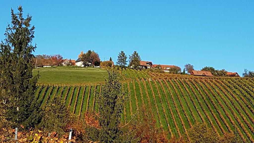 Blick vom Höchstenpunkt (Marhofberg/Kornkneul)  in Richtung Greisdorf