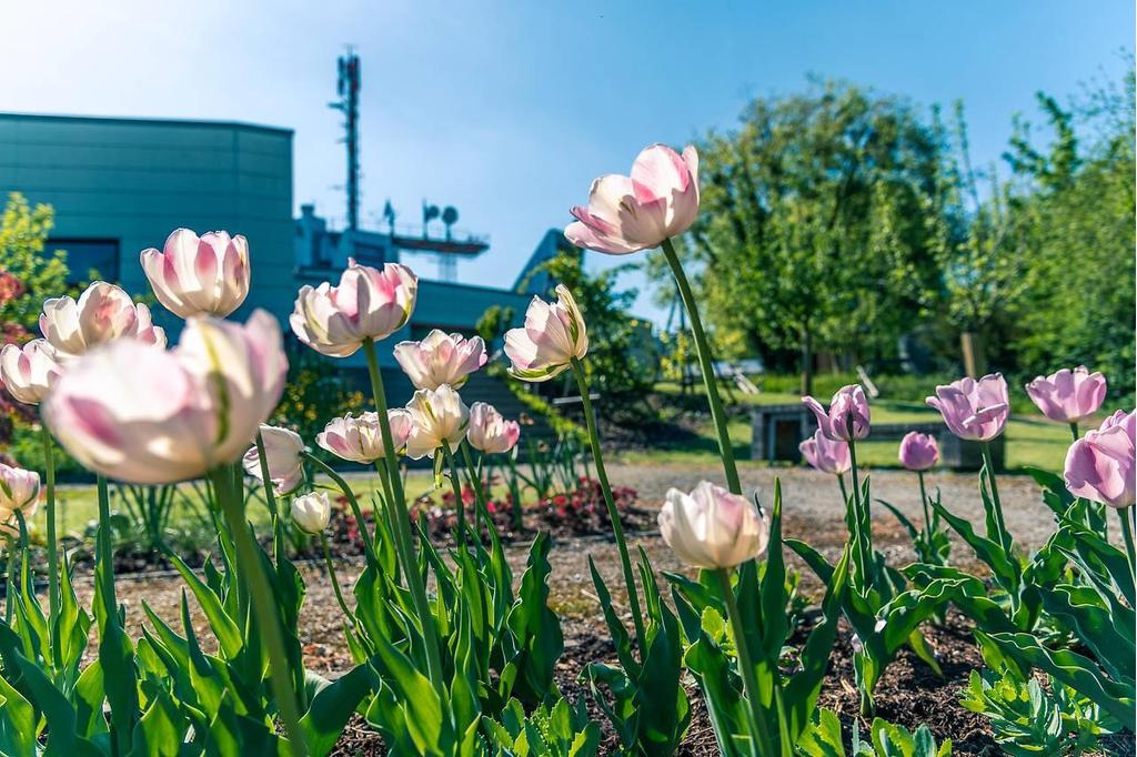 ORF-Salzburg-Fernsehgarten