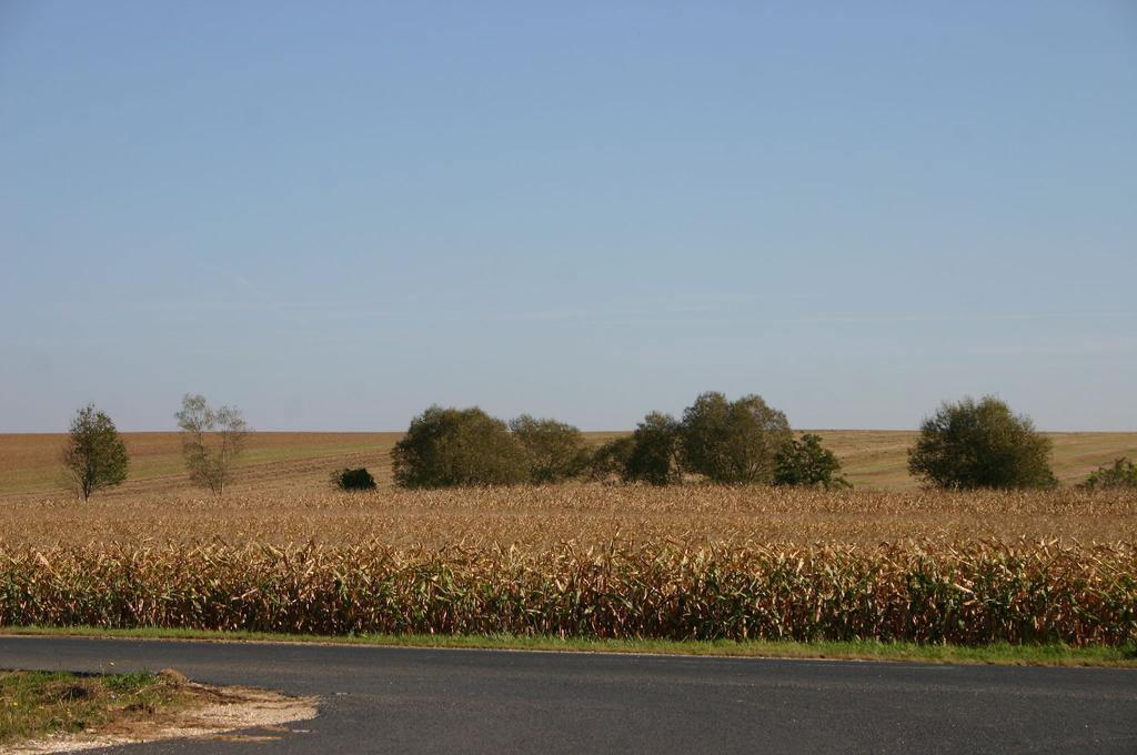 Auf dem Weg nach Bozsok