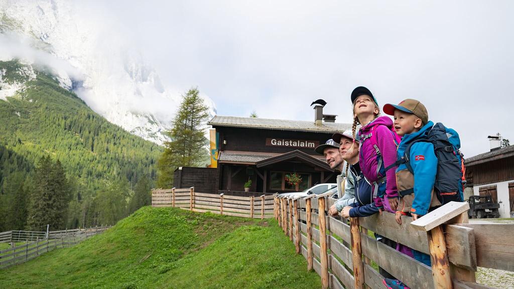 Familien-Weitwanderung im Gaistal - Familie am Zaun vor Gaistalalm.jpg