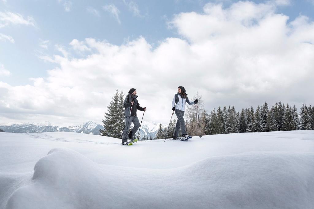 Schneeschuhwandern Winter Schnee