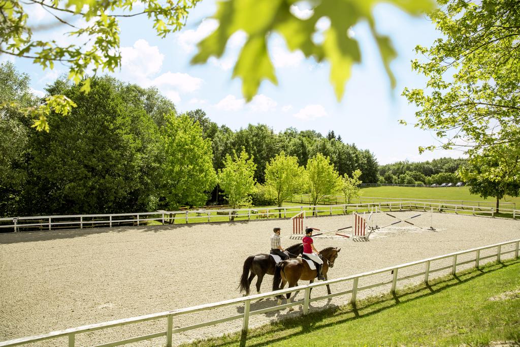 Reit- und Fahrstall Pollhammer
