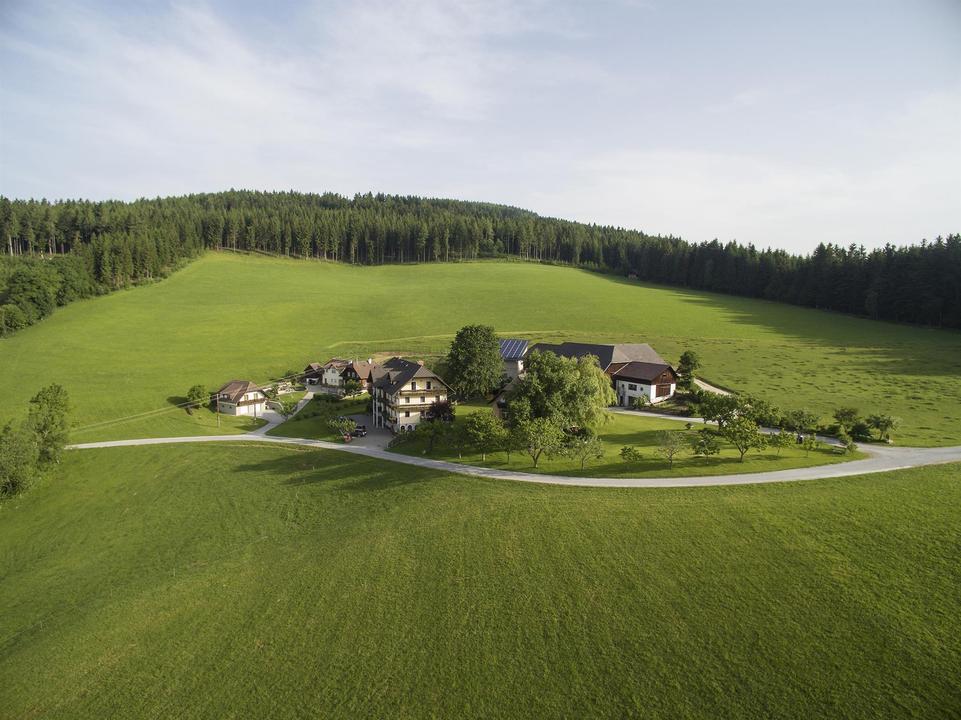 Bauernhof Hönigshof