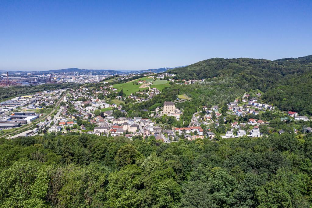 Steyregg Luftaufnahme