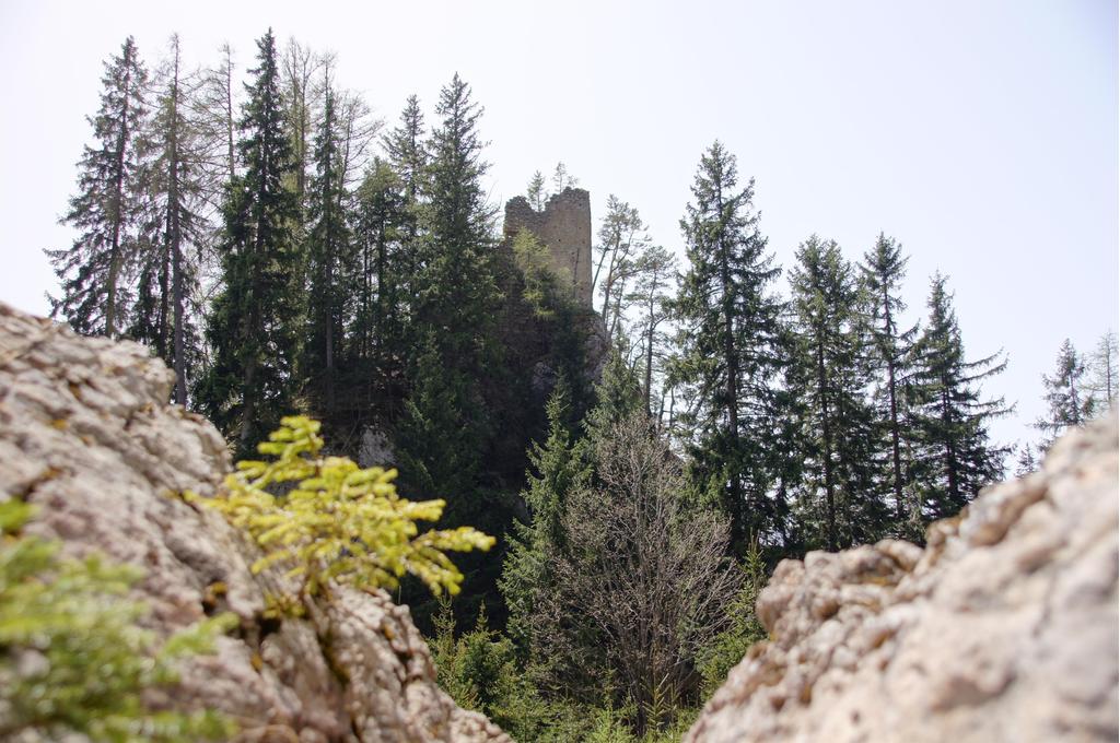 Burgruine Ehrenfels