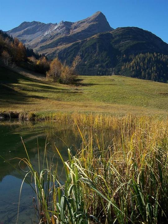Bockbachtal