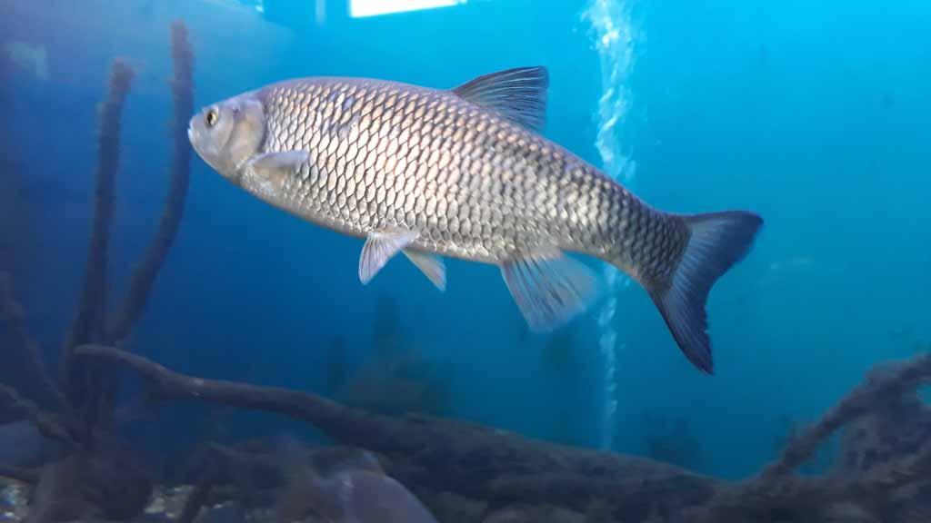 20200927_Aquarium (5) tour